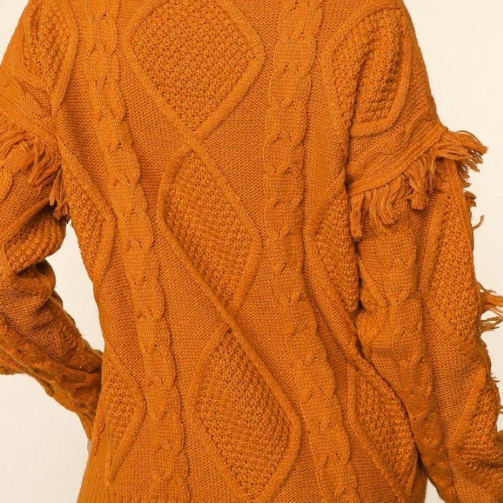 π New Fringe Detail Sweater - Picture 5 of 8